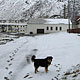 12. und 13.05.2007 – Djúpavík. Mal wieder Schnee.