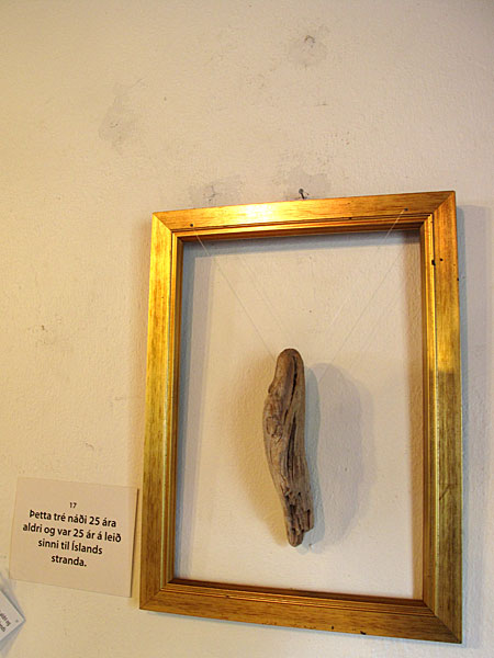Djúpavík. Exhibition: Ómar Smári Kristinsson and Nína Ivanova - "25". - "This tree was 25 years old and was 25 years on the way to Icelandic coasts." (18 July 2010)