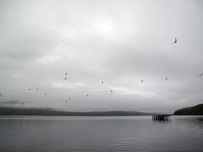 Djúpavík. Verschiedenes XXVI. - Still, nur die Vögel waren unruhig. (24. bis 31.07.2010)