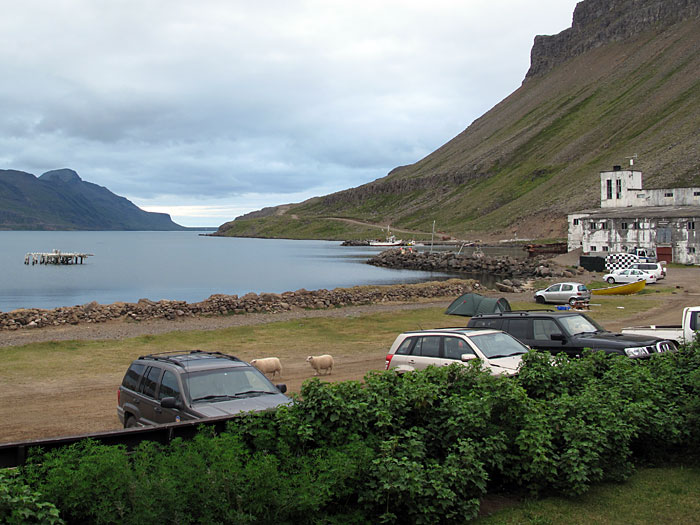 Djúpavík. Verschiedenes XXVII. - Ruhiges Wetter, ein Zelt, und Schafe. In Djúpavík. (06. bis 13.08.2010)