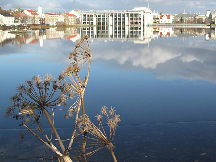 Reykjavík. At the Tjörnin. Frozen and mirrored. - At the <a href='http://en.wikipedia.org/wiki/Tjörnin' target='_blank' class='linksnormal'>Tjörnin</a> pond in center of Reykjavík. (26 October 2010)