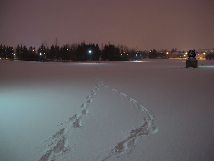 Reykjavík. Snjór er kominn. -  (04. bis 06.02.2011)