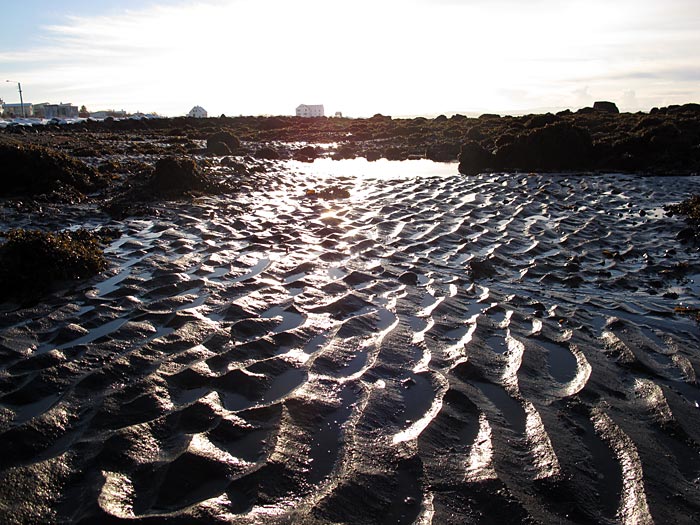 Reykjavík. Sonne am Strand. - Sonne ... (07.02.2011)