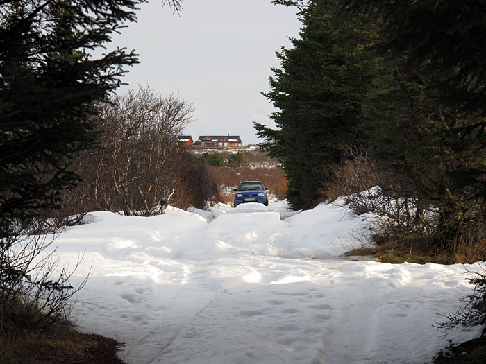 Álftavatn. In winter in the summer cottage II. - Car is there still! (19 February 2011)