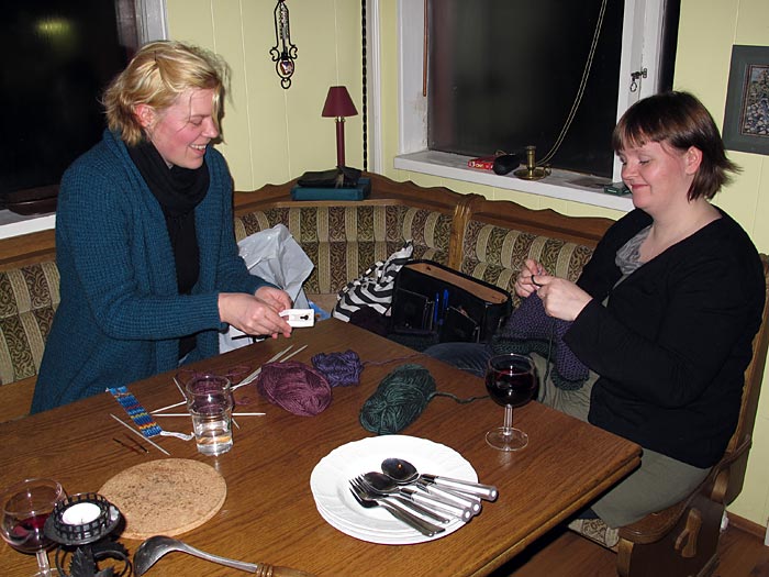 Álftavatn. In winter in the summer cottage II. - And knitting, knitting, knitting... (19 February 2011)