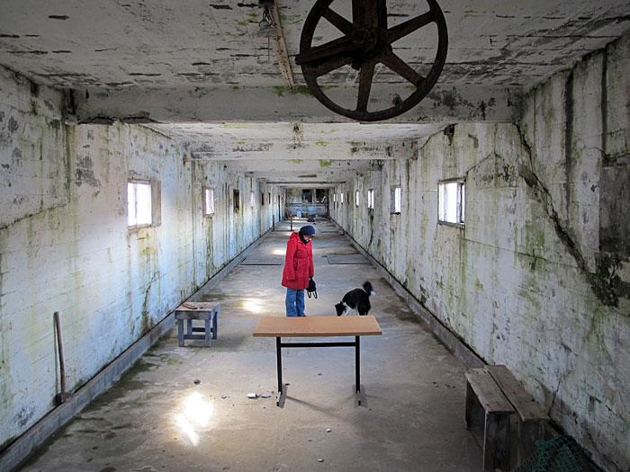 Djúpavík. Ein Tag länger in Djúpavík. - Mit Kaja und Freyja in der Fabrik. Hier soll einige Wochen später meine <a href='http://www.claus-in-iceland.com/exhibition6/index.php' target='_blank' class='linksnormal'>Ausstellung</a> gezeigt werden (tut sie auch derzeit!). (15. bis 18.04.2011)