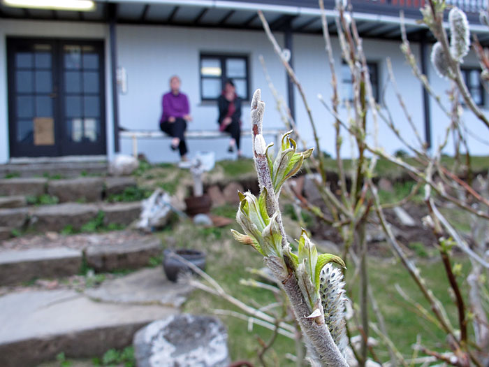 Djúpavík. Ankommen. - Und in Djúpavík! :-)))). (26.05.2011)