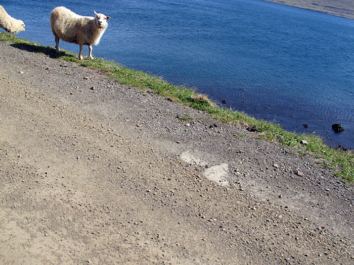 Djúpavík. Ein wunder-voller Tag. - . (02.07.2011)