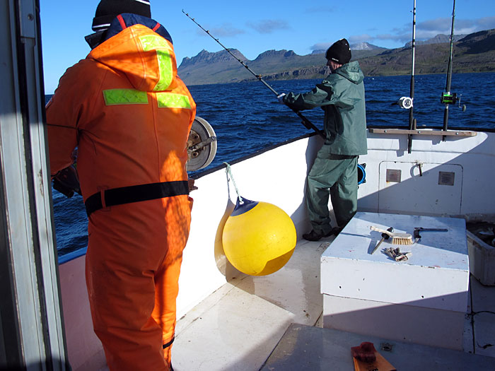 Djúpavík. Wochenende hier. - Raus auf See ging es auch noch - ein paar Dorsche mussten dran glauben ... (09. bis 11.09.2011)