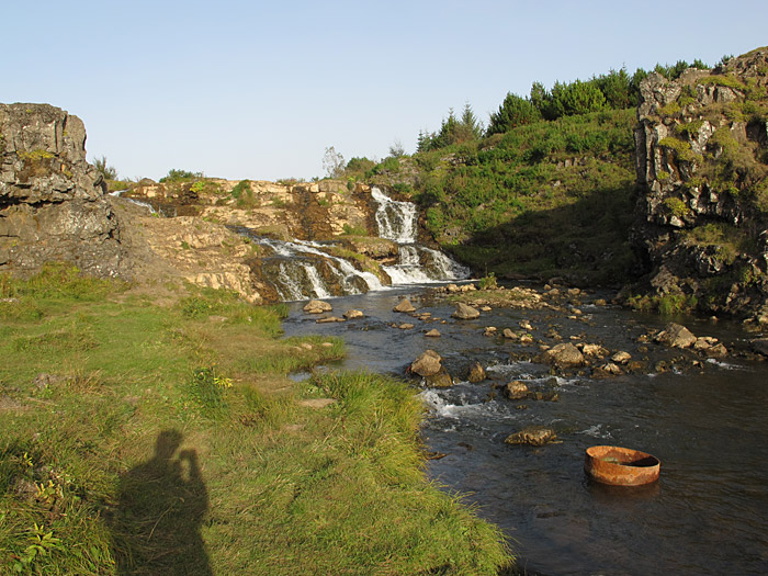 Reykjavík. Elliðaárdalur mit Wald und Wasser. -  (12.09.2011)