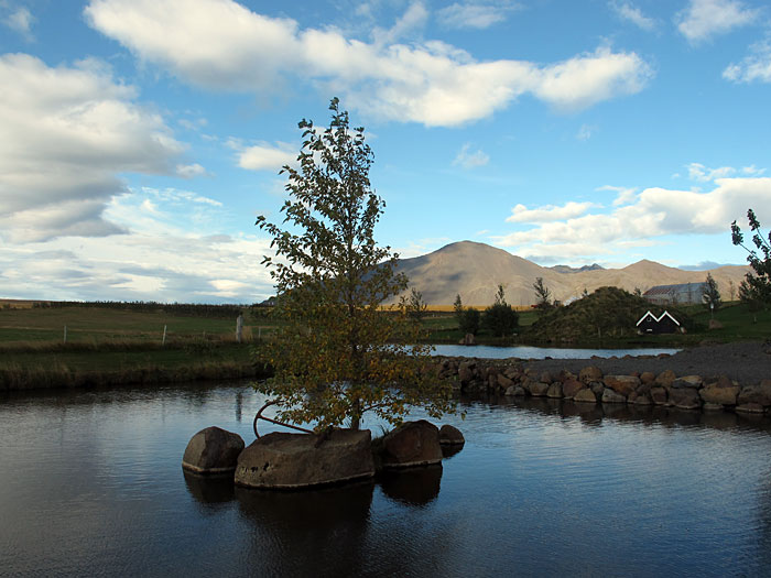 Hvalfjörður. Nochmals Hvalfjörður, aber diesmal ganz. - Ein Baum, ein Baum, ein Baum! (24.09.2011)