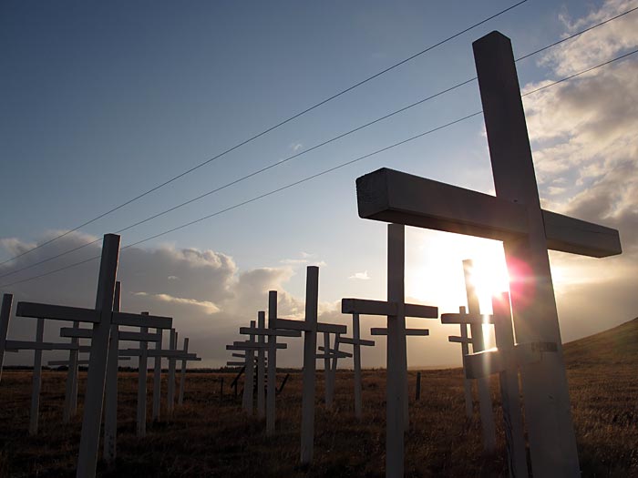 South coast. Excursion. - Road "1", crosses in remembrance of ... (5 November 2011)