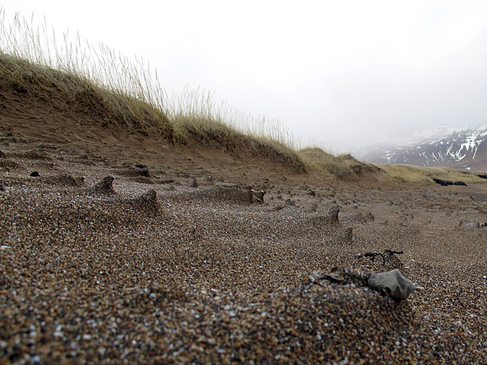 Snæfellsnes. Ausflug. - Búðir, Búðahraun, Búðavík. II. (06.11.2011)