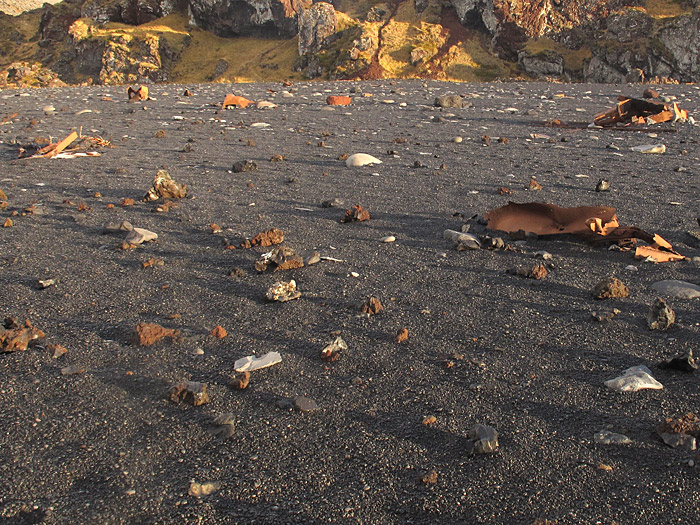 Snæfellsnes. Ausflug. - Djúpalónssandur. Am Strand liegen die Reste eines Schiffes, welches in der Nähre 1948 strandete. (06.11.2011)