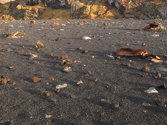 Snæfellsnes. Ausflug. - Djúpalónssandur. Am Strand liegen die Reste eines Schiffes, welches in der Nähre 1948 strandete. (06.11.2011)