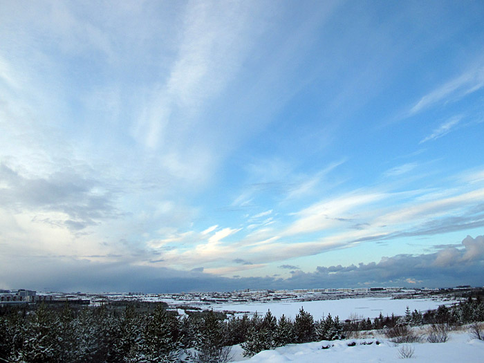 Reykjavík. Spaziergang am See Rauðavatn. - Bäume! Und der See. (27.11.2011)