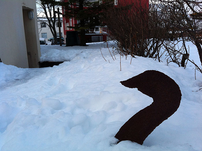 Reykjavík. Miscellaneous XXXIX. - A swan? (4 till 10 January 2012)