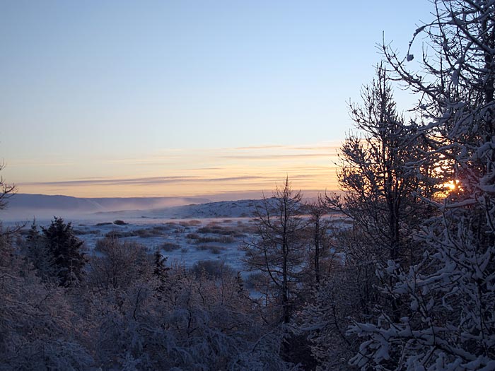 Reykjavík. Spaziergang im Wald, einem Wald mit viel Schnee! - Heiðmörk. (21.01.2012)