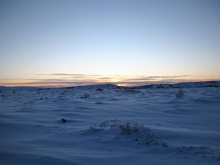Reykjavík. Walk in a forest, a forest with a lot of snow. - Heiðmörk. (21 January 2012)
