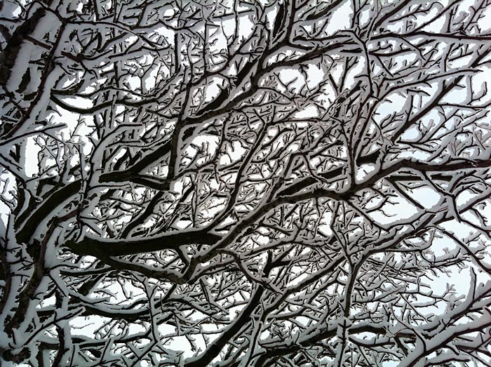 Reykjavík. Wieder Schnee, aber diesmal etwas anders. - I. (24.01.2012)