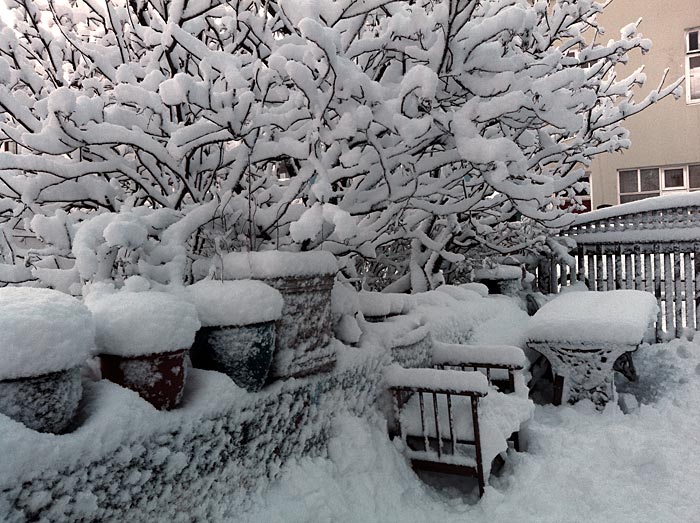 Reykjavík. Wieder Schnee, aber diesmal etwas anders. - IV. (24.01.2012)