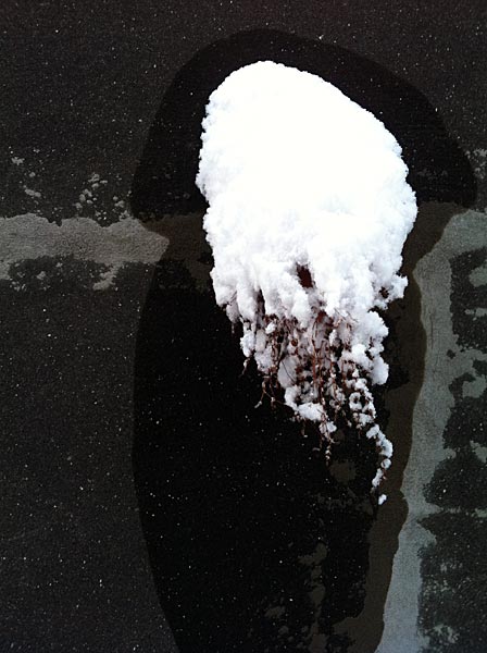 Reykjavík. Wieder Schnee, aber diesmal etwas anders. - X. (24.01.2012)