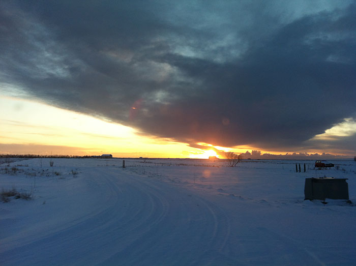 Reykjavík. Ausflug nach Selfoss. - Schnee und Selfoss. VI. (17. and 18.02.2012)