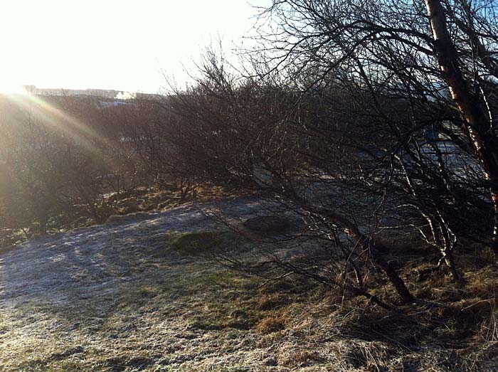 Munaðarnes. Sommerhaus für ein Wochenende. - ... oder im Wald. Der Morgen mit ganz wenig Schnee. (03. und 04.03.2012)