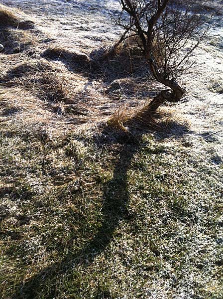 Munaðarnes. Sommerhaus für ein Wochenende. - ... oder im Wald. Der Morgen mit ganz wenig Schnee. (03. und 04.03.2012)