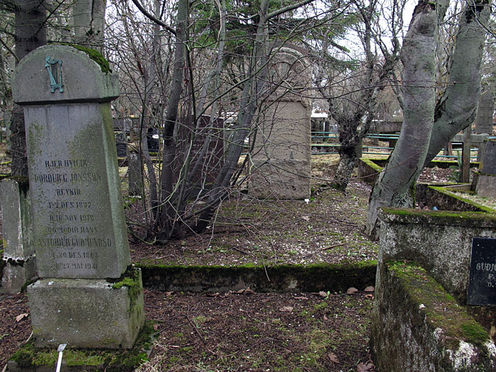 Reykjavík. The old graveyard. And old trees. - II. (12 March 2012)