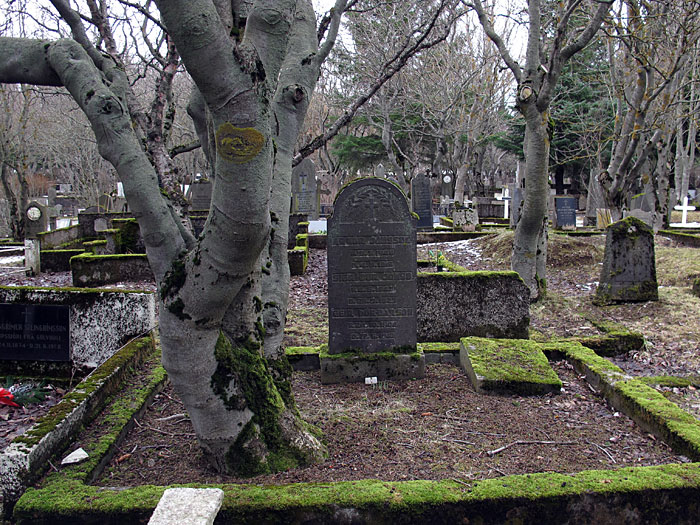 Reykjavík. The old graveyard. And old trees. - IV. (12 March 2012)