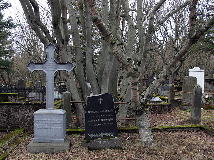 Reykjavík. The old graveyard. And old trees. - V. (12 March 2012)