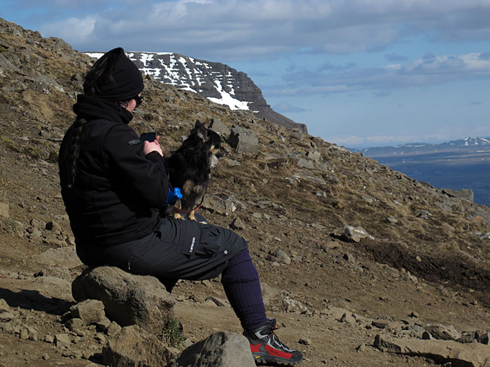 Reykjavík. Esja - das erste Mal. - Ob es für Vierbeine anstregender ist als für Zweibeiner diesen Berg zu erwandern? (05.05.2012)