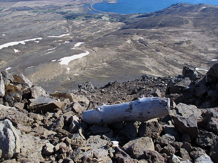 Reykjavík. Esja - das erste Mal. - Und irgendjemand muss dieses Stck Treibholz hier hoch getragen haben. Sachen gibt es ... (05.05.2012)