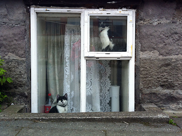 Reykjavík. Miscellaneous XXXXIII. - Very alike. (8 till 19 May 2012)