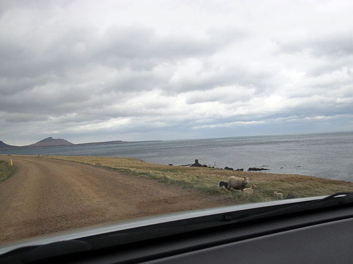 Strandir. Auf dem Weg nach Djúpavík. - Nur noch wenige Kilometer ... bis ... (25.05.2012)