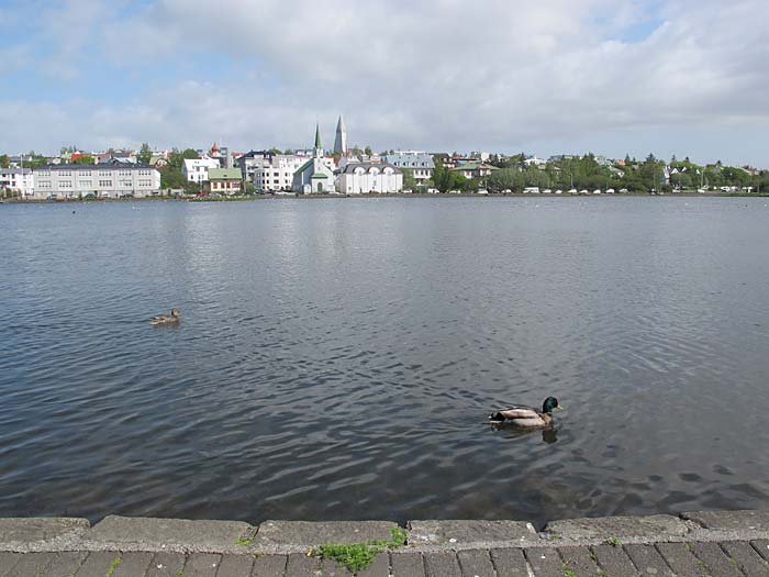 Reykjavík. Brief visit. - Too much for me, thats why I escaped and found a nice place next to the Tjörnin pond. Much much calmer her. (9 June 2012)