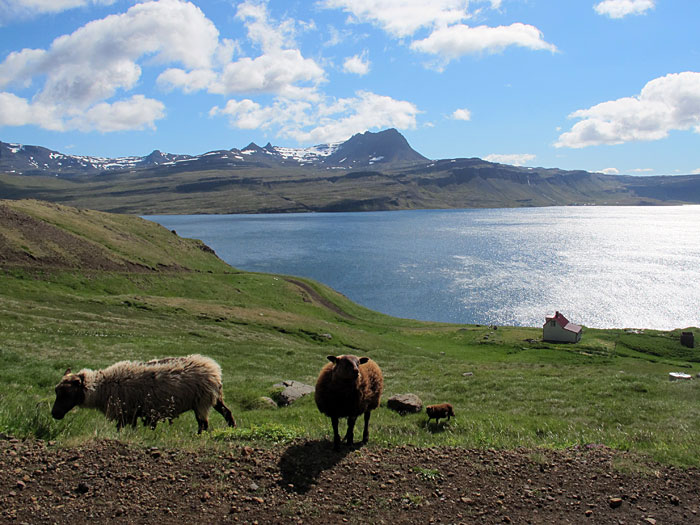 Gjögur. Flugplatz. - Naustvík, und Blick nach Djúpavík. (09.07.2012)