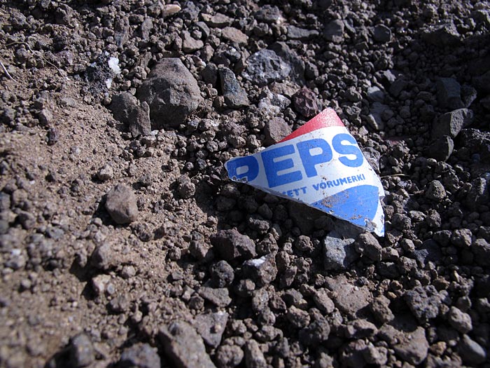 Djúpavík. Hiking, but only a short hike: up to the waterfall. - I found this little piece of rubbish, but I think this one was lying there a long time already. (6 August 2012)