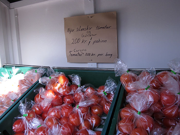 Reykjavík. Haustferð - Herbstfahrt. I. - Mit dem heissen Wasser werden Gewächhäuser beheizt. Daher wachsen hier sehr gut Tomaten und Karotten, welche an solchen 'Ständen' verkauft werden. <a href='http://de.wikipedia.org/wiki/Deildartunguhver' target='_blank' class='linksnormal'>Deildartunguhver</a>. (08.09.2012)