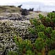 25.09.2012 – Reykjavík. Fisch, Kleifarvatn und weiteres. (22 Bilder)