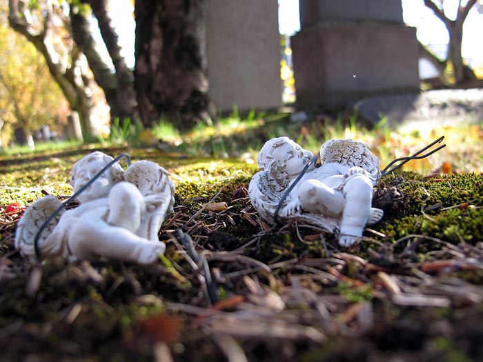 Reykjavík. Friedhof 'Hólavallagarður' im Herbst. - Nachdenken ... VII. (Weitere Bilder des Friedhofes <a href='http://www.claus-in-island.de/12-03/b4911.php' target='_blank' class='linksnormal'>hier</a>, aufgenommen im März 2012). (04.10.2012)