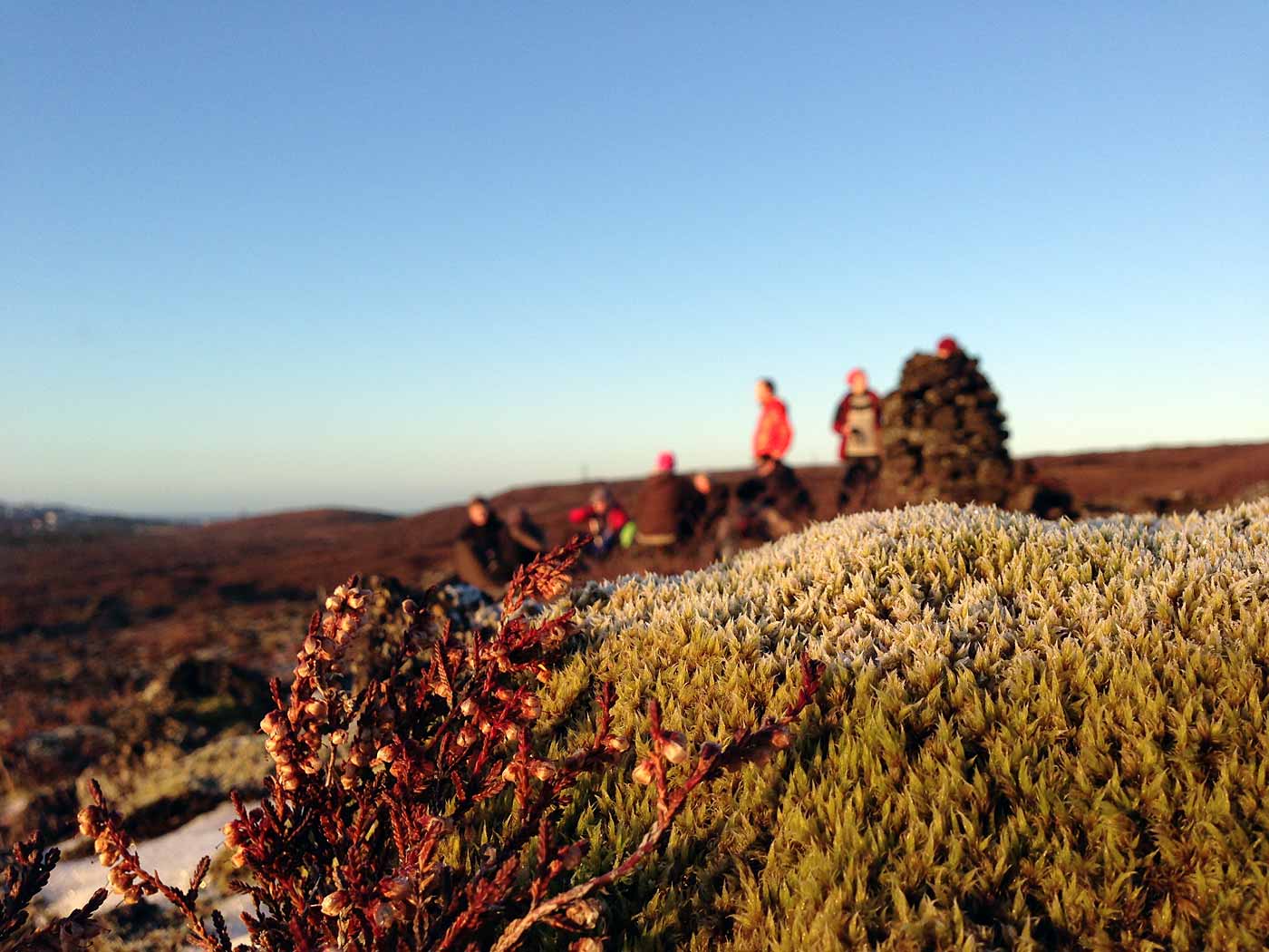 Reykjavík. Hiking. - VI. (25 November 2012)