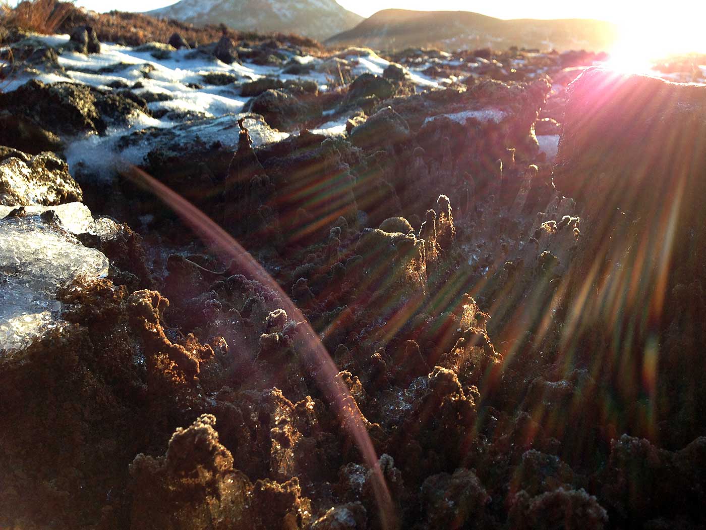 Reykjavík. Hiking. - IX. (25 November 2012)