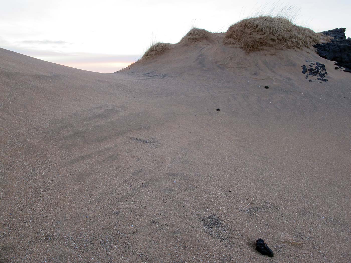 Snæfellsnes. Kalt und schön. - Búðahraun. (25.12.2012)