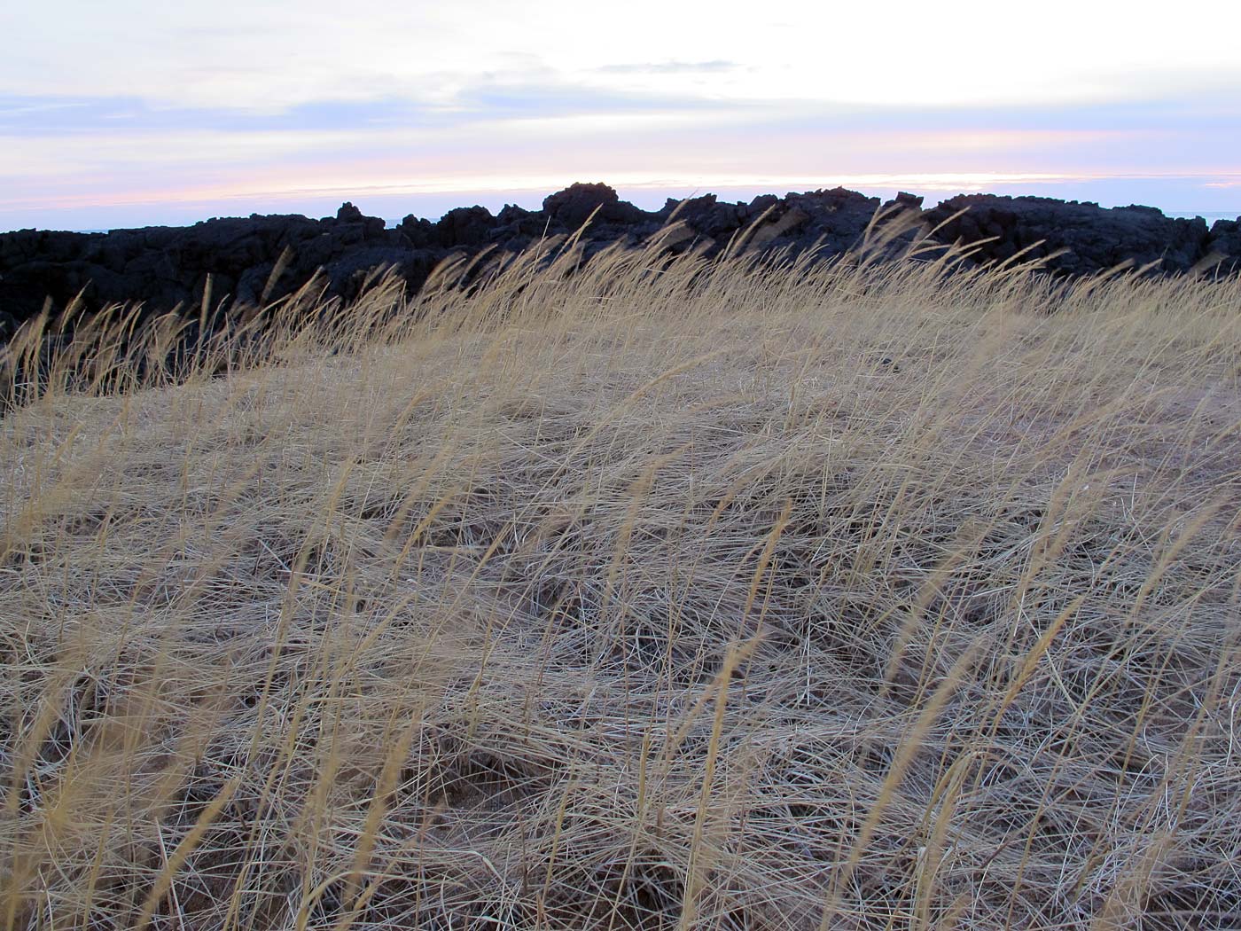 Snæfellsnes. Kalt und schön. - Búðahraun. (25.12.2012)