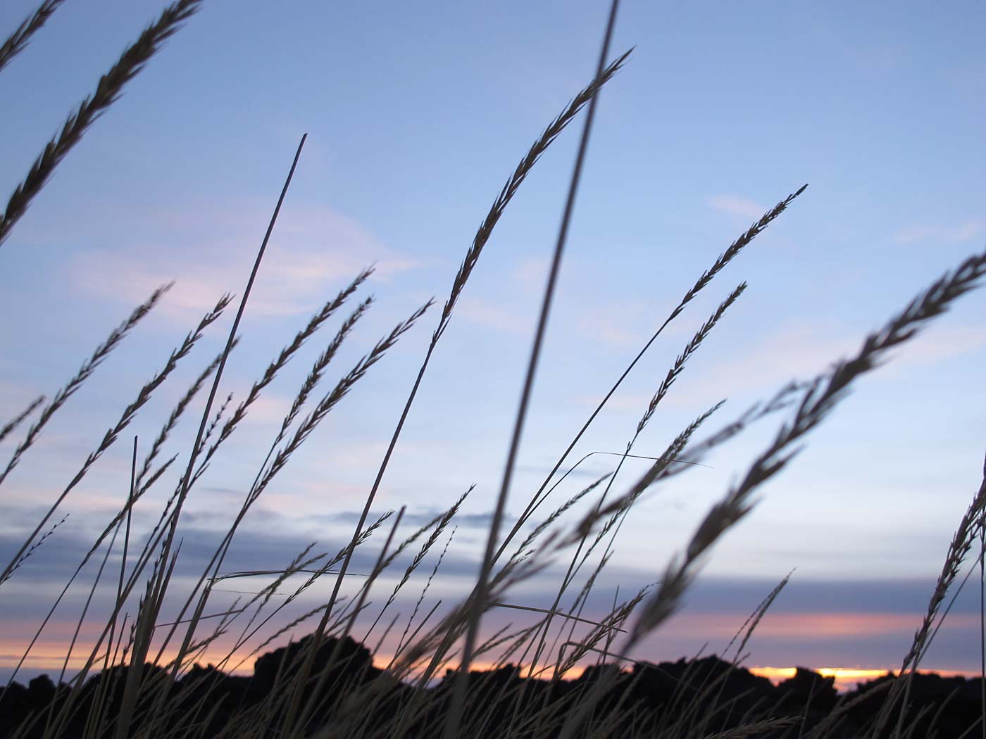 Snæfellsnes. Cold and beautiful. - Búðahraun. (25 December 2012)