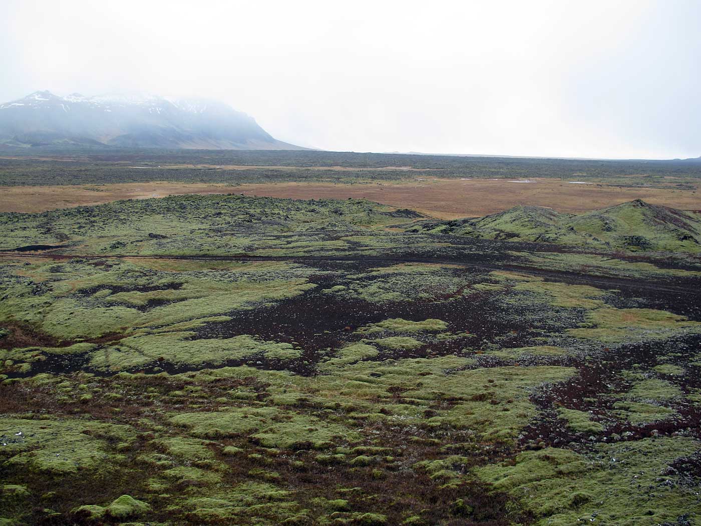 Snæfellsnes. Ausflug 1. Etwas Snæfellsnes. Viel Rot und Grün. - Zwischen Rauðhálsahraun und Gullborgarhraun. I. (02.03.2013)