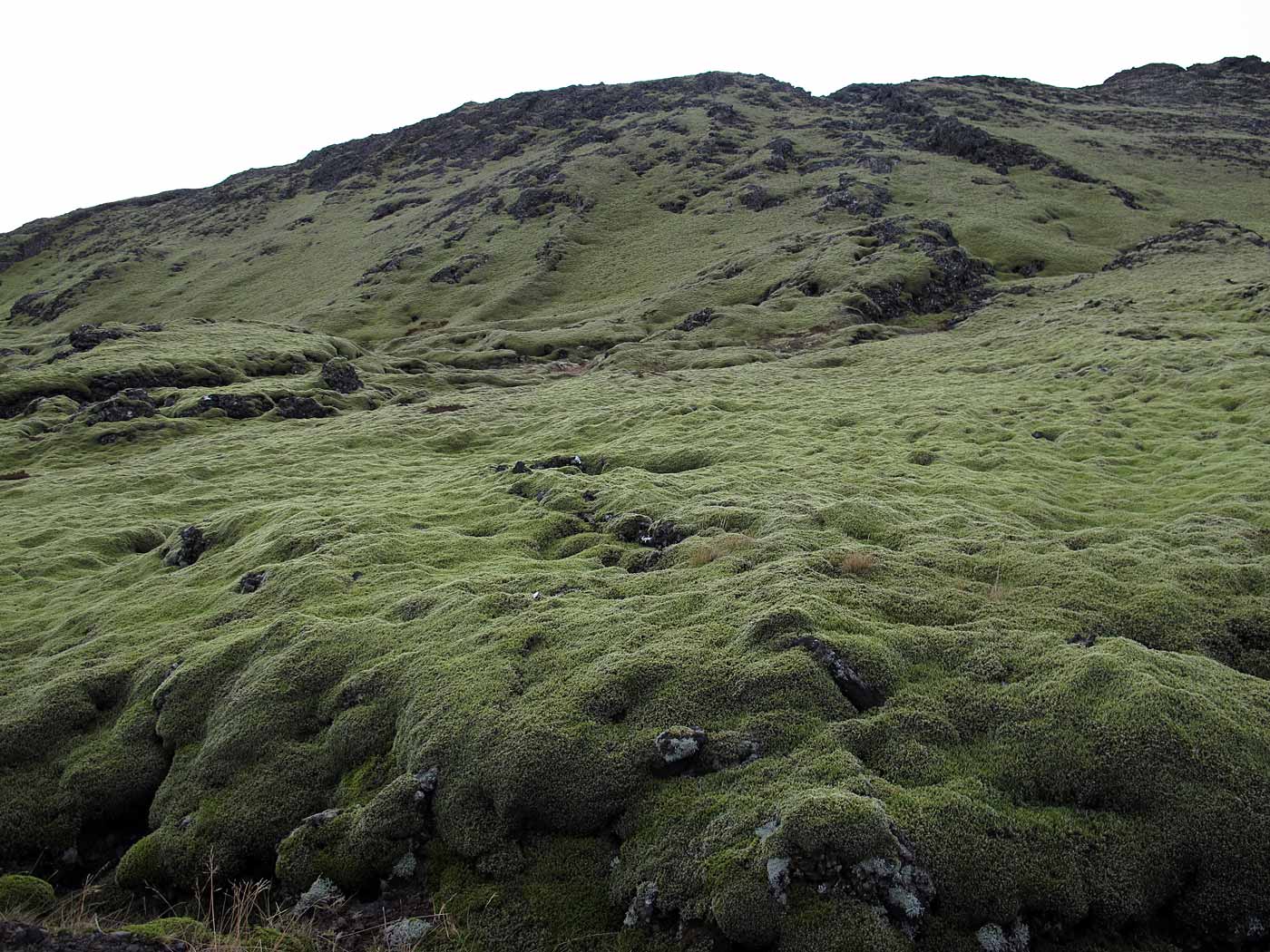 Snæfellsnes. Ausflug 1. Etwas Snæfellsnes. Viel Rot und Grün. - Zwischen Rauðhálsahraun und Gullborgarhraun. II. (02.03.2013)