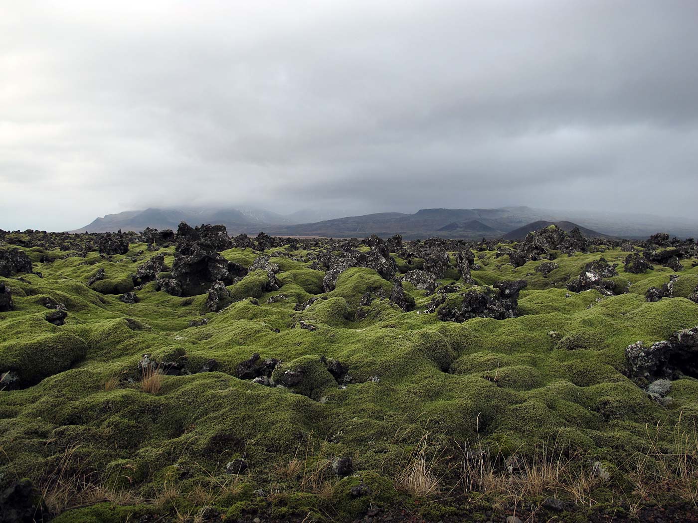 Snæfellsnes. Day trip 1. Some Snæfellsnes. A lot of red and green. - Between Rauðhálsahraun and Gullborgarhraun. IV. (2 March 2013)